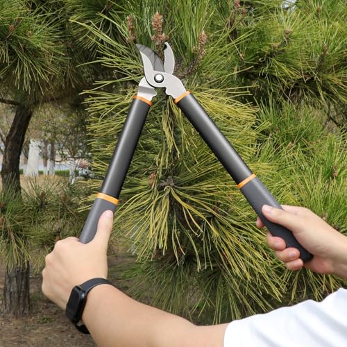 AIRAJ 17'' Bypass Loppers for Tree Trimmer, 1.6" Cut Capacity Branch Cutter - size: 17'' Bypass Loppers