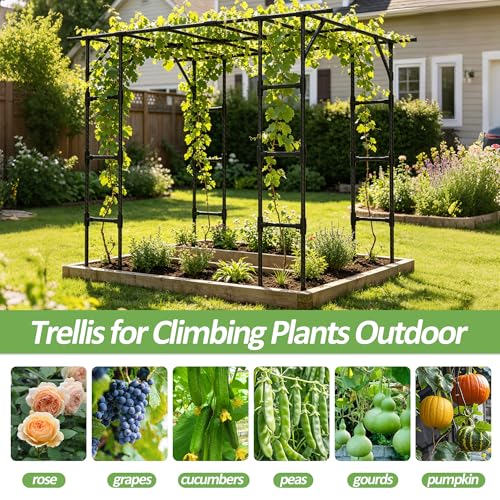 Grape Vine Trellis,Heavy Duty Metal Plant Support Trellis-96L*62W*79H in - size: 95.7（L）*61.6(W)*78.5(H) in