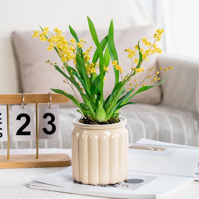 2PCS Self Watering Planters 4.5 Inch Self Watering Pots for Indoor Plants, African Violet Pots with Wick Rope, Flowers, Succulents, Herb, House Plants - color: Beige