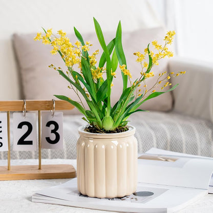 2PCS Self Watering Planters 4.5 Inch Self Watering Pots for Indoor Plants, African Violet Pots with Wick Rope, Flowers, Succulents, Herb, House Plants - color: Beige
