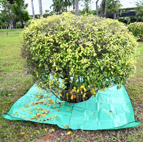 Landscape Pruning Tarp, 78.7“X78.7” Landscape Tarp for Trimming, Trimming Tarps Shrub Trimmings with Four Corner Buckles for Easy Fastening and Leaf Collection. (Green, 24” Hole) - size: 24” Hole