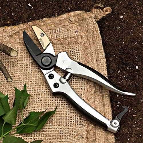 Pruning Shears - Garden Scissors Florist Snips - 2.5” Blades - Flower Scissors for Cutting Fresh Flowers, Trimming, or Harvesting Herbs or Fruit - Pruners for Gardening Tools by Kings County Tools - style: Flower Pruner