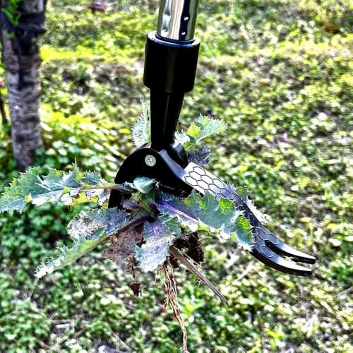 Stand on Weeding Tool, Long Handled Lawn Weeder