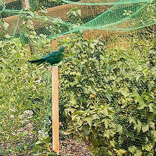 20 x 33ft Garden Netting, Bird Netting Strawberries Cover for Plants, Fruit, Vegetables,Seedlings with 100 PCS of Zip Ties - size: 20x33ft