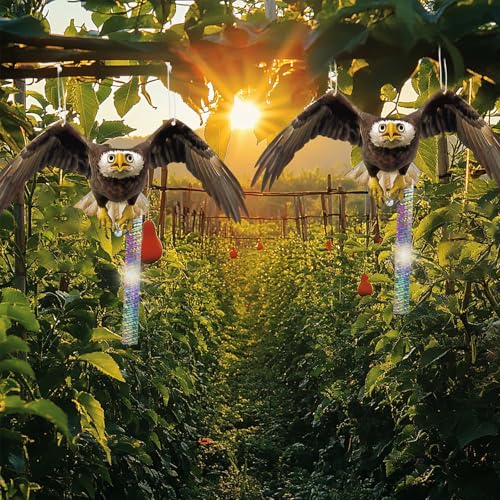Fake Owl to Keep Pigeon Away from Balcony 2PCS Flat Garden Owl Pigeon Scare Devices Hanging Hawk with Reflective Tape Plastic Owls to Scare Woodpecker for Tree Outdoor Porch Patio Roof Windows - color: Black 2pcs