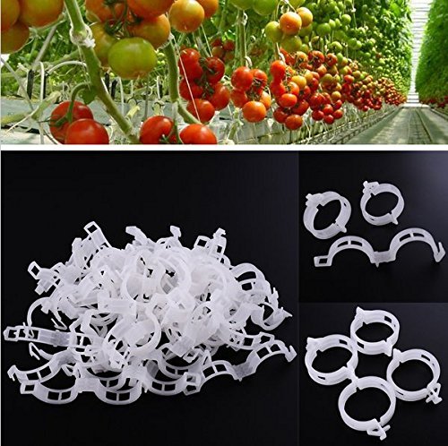 KINGLAKE Plant Support Garden Clips,Tomato Vine Clips,Tomato Trellis Clips 200 Pcs for Vine Vegetables Tomato to Grow Upright and Makes Plants Healthier - color: White