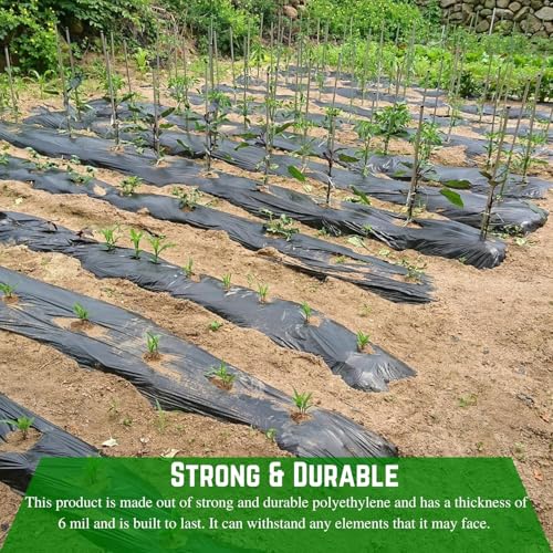 Farm Plastic Supply - Weed Control 6 Mil Black/White Polyethylene Sheeting - Heavy Duty Weed Barrier Landscape Fabric for Outdoor Gardens, Non Woven Weed Blocker Fabric, Weed Control (32' x 25') - size: 32' x 25'