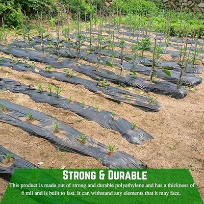 Farm Plastic Supply - Weed Control 6 Mil Black/White Polyethylene Sheeting - Heavy Duty Weed Barrier Landscape Fabric for Outdoor Gardens, Non Woven Weed Blocker Fabric, Weed Control (32' x 100') - size: 32' x 100'