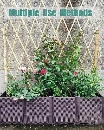 4 Ft Bamboo Stakes with 100 Twist Ties Natural Bamboo Garden Stakes for Tomatoes Cucumber Grapes Pole Beans Trees Potted Dahlia Flowers and Climbing Plants - Pack of 25 - size: 4 FT-25PACK & Ties