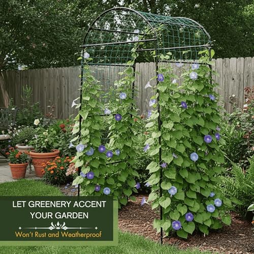 79" Tall Metal Cucumber Trellis Arch Sturdy Frame for 4FT Raised Garden Bed - size: 33"L x 33"W x 79"H
