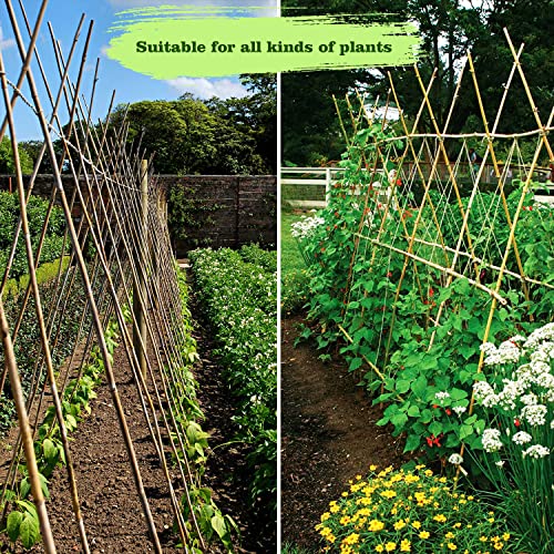 Jollybower 15pcs 3/4" D Thicker Heavy Duty Bamboo Stakes, 7FT Plant Stakes, Natural Garden Stakes for Tomato, Bean, Flowers,Trees Potted and Climbing Plant Support - size: 7Ft, Pack of 15