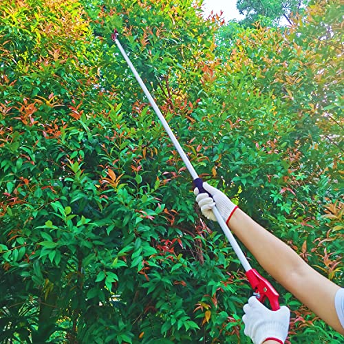 Tree Trimmer, 6 Foot Pole Pruner, Long Reach Pruning Shears, Cut and Hold Garden Clippers, Aluminum Lightweight Handle Fruit Picker, Branch Bypass Loppers