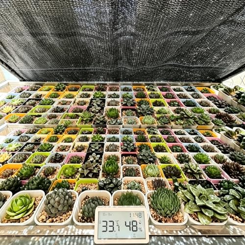 Garden Shade Cloth Suitable for Plants Outdoor Vegetables with Buckle Holes Greenhouse Chicken Coop Dog Kennel Courtyard Shade net Tarp Netting Waterproof Fabric 90%, 20FT*20FT - color: Style:90%, size: 20FT*20FT