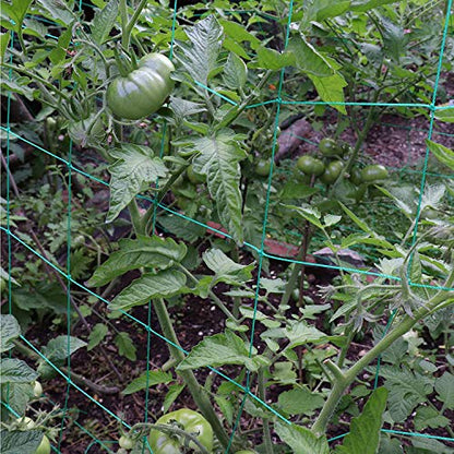 Trellis Netting for Climbing Plants - Heavy Duty Garden Trellis Netting for Cucumber, Vine, Fruits & Vegetables Tomato Plants Trellis Net, Climbing Vining Plants (1-Pack 8.2' x 6.6'Ft) - size: 8.2' x 6.6'Ft