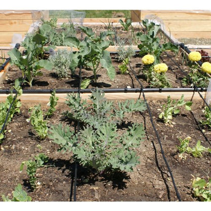 Drip Depot Drip Irrigation Kit for Raised Bed Gardening - Basic - 2 Raised Beds - size: Basic - 2 Raised Beds