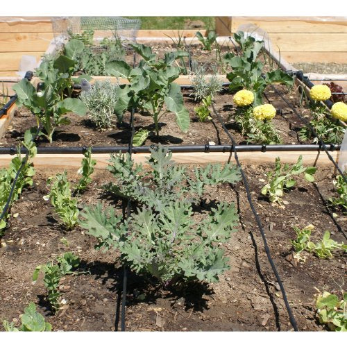 Drip Depot Drip Irrigation Kit for Raised Bed Gardening - Deluxe - 6 Raised Beds - size: Deluxe - 6 Raised Beds