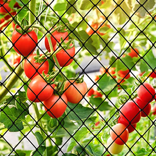 Bird Netting 25'x100' Heavy Duty Nylon Net with 2" Mesh, Garden Netting - size: 2", 25' x 100'