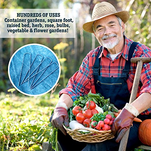 100 Pack 6 Inch Garden Stakes, Galvanized Landscape Staples for Weed Barrier Fabric, Heavy Duty Sod Pins Securing Pegs Netting Ground Sheets Irrigation Tubing - size: 6 INCH-100Packs