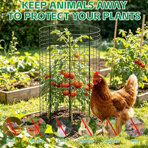 3 Pack Large Wire Plant Protector from Animals 18"x12" Metal Plant Cage - size: 18"x12"