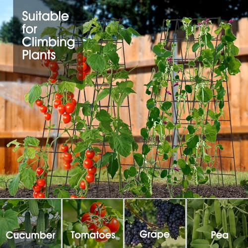 RIFNY Cucumber Trellis for Raised Bed, Garden Trellis 16.5 x 60 Inch, Black - color: Black, size: 16.5 x 60 Inch