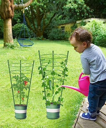 4 Pack Garden Plant Support Tomato Cage, Upgrade 36'' Trellis for Climbing Plants, Plant Trellis Kits with 4 Self Watering Spikes and 20 Plant Clips (36'') (Upcage-4T-23) - size: 36"