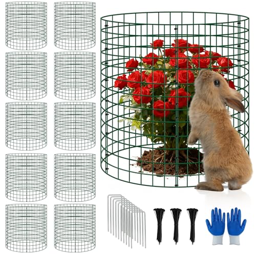 10 Pack 12x14 Inch Plant Cages, Metal Garden Protector from Animals - color: 10 Pack, size: 12x14 IN