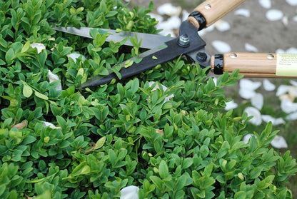 okatsune trimming shears type 55 - style: Type 55
