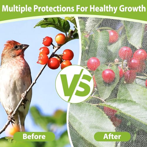 2 Pack Fruit Tree Netting, 6X6FT Insect Bird Netting, Zipper, Drawstring - size: 6*6FT (2Pcs)