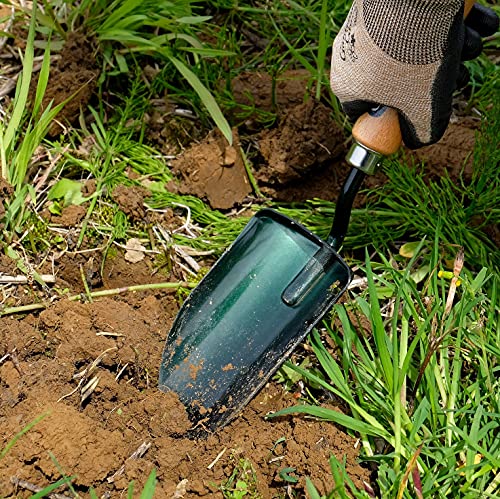 Garden Helper Large Garden Trowel Hand Tool, Hand Shovel for Planting and Transplanting, Heavy Duty Japanese Steel Blade, Wood Handle, Made in Japan - style: Wide Trowel