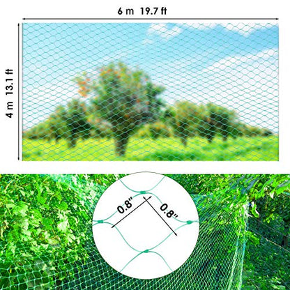 Ruolan Bird Netting for Garden Protect Vegetable Plants and Fruit Trees13X20Ft,Plastic Trellis Netting for Birds, Deer,Squirrels and Other Animals - size: 13X20