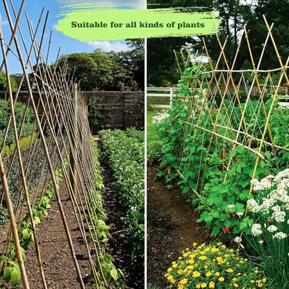 Jollybower 25pcs 7/20" D Thicker Heavy Duty Bamboo Stakes, 3FT Plant Stakes, Natural Garden Stakes for Tomato, Bean, Flowers,Trees Potted and Climbing Plant Support - size: 3Ft, Pack of 25