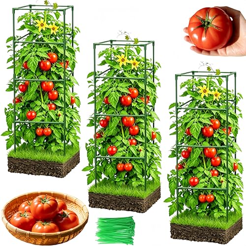 3 Pack Square Tomato Cages for Garden, 42 Inch Tall Heavy Duty Metal Tomato Plant Support Trellis, Adjustable Large Tomato Stakes for Outdoor Pots Climbing Plants, Vegetables, Cucumber - size: 42Inch
