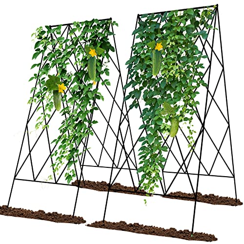 Cucumber Trellis 2 Pack,Foldable A-Frame Garden Trellis - color: Black, size: 39.4" H