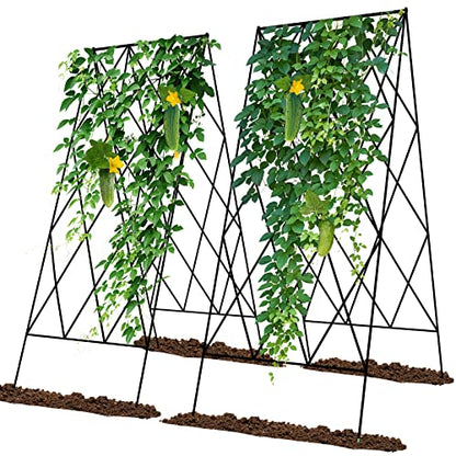 Cucumber Trellis 2 Pack,Foldable A-Frame Garden Trellis - color: Black, size: 39.4" H