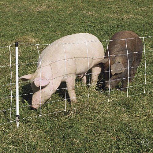 Premier 1 Pig QuikFence® Electric Fence for Pigs – 30"H x 100'L