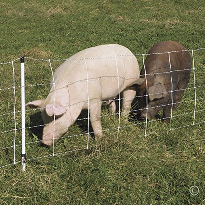 Premier 1 Pig QuikFence® Electric Fence for Pigs – 30"H x 100'L