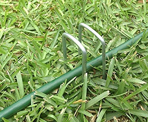 AAGUT Landscape Staples 6 Inch Galvanized Anti-Rust Garden Stakes 11 Gauge - color: Silver, size: 6'' x 250Pcs-11Ga