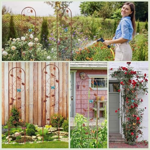 Lancisism 2 Pack 100% Metal Garden Trellis for Climbing Plants Outdoor - Heavy Duty Rustic Iron Arch Fence Trellis Rustproof Plant Support Trellis for Vines, Flowers, Vegetables & Wall Brackets