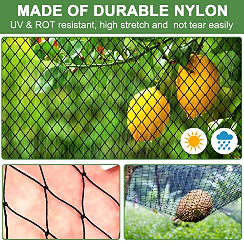 DQS Bird Netting 50' x 100' with 1" Mesh, Poultry Netting for Chicken Coop - size: 1", 50' x100'