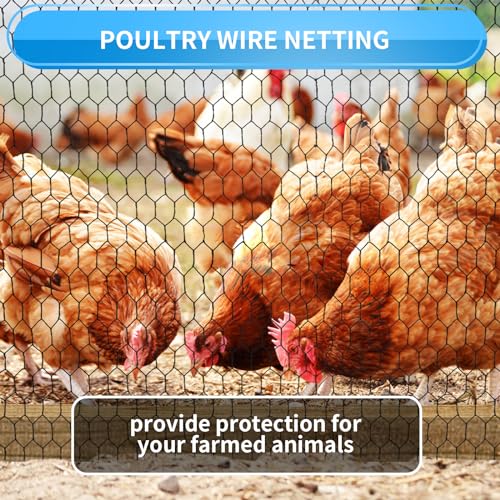 60'' x 150' Black Chicken Wire Mesh Fence, 20 Gauge Galvanized Poultry Netting and 1 inch Garden Mesh Fence Roll, Chicken Wire for Floral Arrangements/Crafts/Farm/Livestock/Pet Protection - size: 20 gauge 60'' x 150'