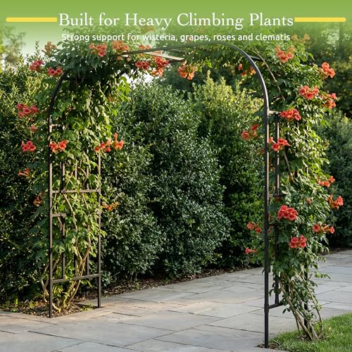 Square Tube Garden Arch Trellis for Climbing Plants 8.2ft Tall Metal Arbor - color: 126 inch Length - Black