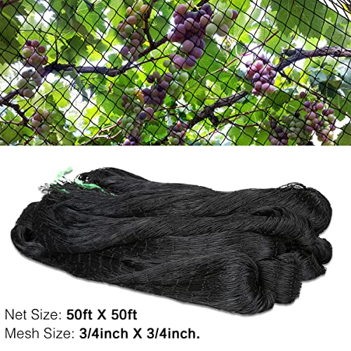 OGORI 50' x 50' Bird Netting Heavy Duty Nylon 3/4" Mesh Garden Netting Protect Fruit Trees, Plants and Vegetables - size: 50'×50'-3/4''