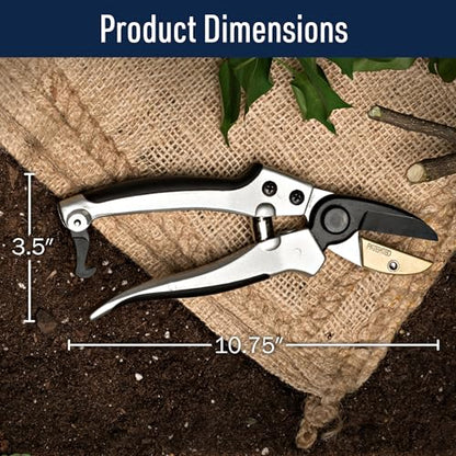 Anvil Pruning Shears for Gardening - 7.75” Heavy Duty Branch Cutter Garden Shears with Rubber Grips for Dry Stems or Small Wood Branches - Hand Pruners for Gardening Tools by Kings County Tools - style: 8" Anvil Pruner