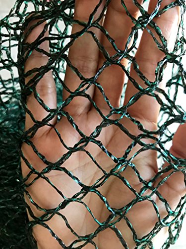 Bluefire Direct Commercial Grade Heavy Duty Polyethylene Anti Bird Netting for Garden Blueberries Fruit Trees Poultry Cage Pond Net Reusable Does not Tangle Snag or Rot (20 ft x 33 ft)