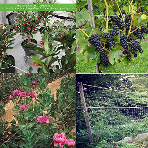 BaseGoal 3.5in Mesh Trellis Netting, 5x15ft, 2 Pack - size: 3.5" Mesh