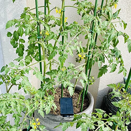 Garden Stakes, 24 Inch 2Ft Steel Plant Tomato Stakes, 25 Pack - size: 24 inch