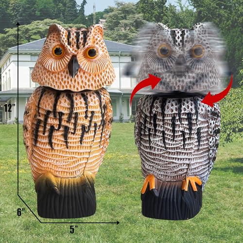Owl Decoy to Scare Birds Away Scarecrow Fake Owl with Rotating Head (2 Pk) - color: Set B