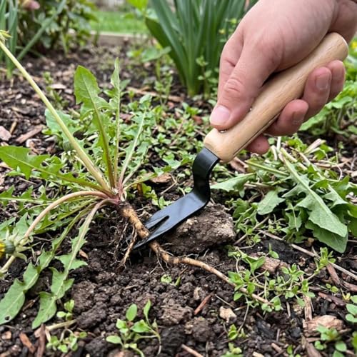 Manual Weeding Tools Set - Short-Handled Root Digger & Soil Loosener, Durable Carbon Steel Portable Weeder for Gardens, Farms, Lawns, Vegetable Plots, Removes Weeds by The Roots