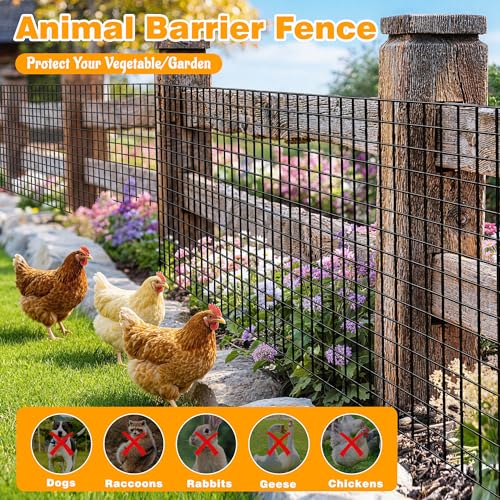 Black PVC Coated Welded Wire Fencing, 48in High x 100ft Long, 2 inch x 4 inch 14GA 2/3/4/5/6 Ft Tall Welded Wire Fence Rolls, Black Metal Garden Fence Wire Roll Garden Fencing for Yard - color: Black, size: 2"x4" 14GA 48" x 100'