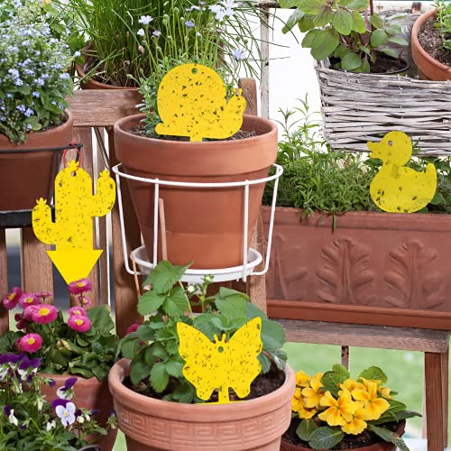 Gideal 48-Pack Dual-Sided Yellow Sticky Traps for Indoor/Outdoor Use, Gnat Trap for Flying Plant Insect Such as Fungus Gnats, Whiteflies, Aphids, Fruit Fly, Leafminers, etc - Cute Shapes - size: 48 Pack